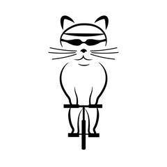 Сat on a bicycle