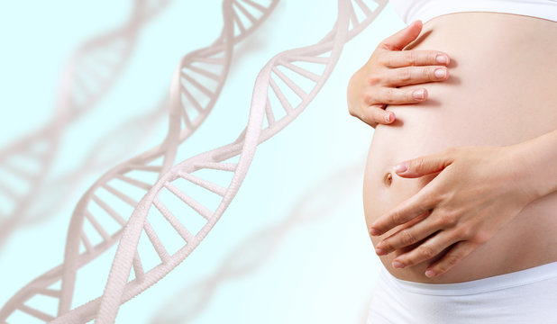 Young pregnant woman caress belly among DNA stem.