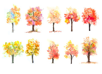 Set of ten autumn trees on white background, watercolor illustrator , hand painted