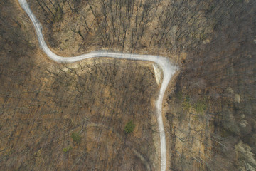 aerial Drone flight over forest and dirt road in a forest in Austria in march