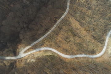 aerial Drone flight over forest and dirt road in a forest in Austria in march