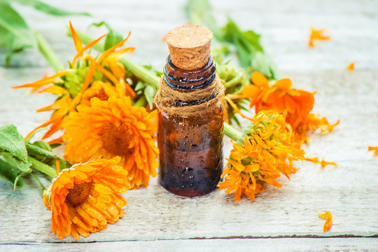 The calendula extract. Medicinal plants. Selective focus. 