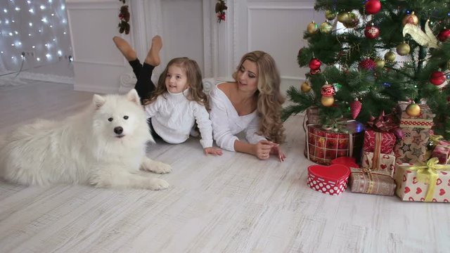 Lovely mother and child playing under a Christmas tree with a fluffy dog. Samoyed husky dog.