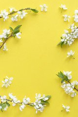 Spring concept. Flat-lay of blossom over light yellow background, top view with space for your text