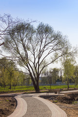 the path in the park in early spring