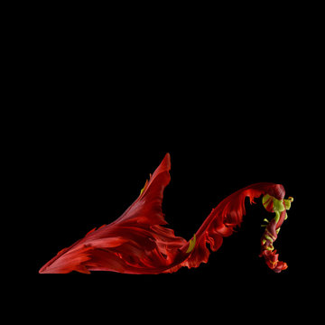 Flower mule, red against plain background