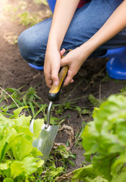 Closeup photo of young woman digging earth in garden with trowel