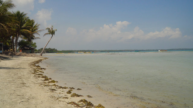 Tropical island with white sandy beach in blue lagoon. Tondol white sand beach with turquoise water. Seascape, ocean and beautiful beach. Philippines, Anda, Pangasinan. Travel concept.