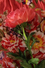 orange peony flower on the bright floral material