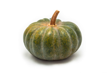 Colorful pumpkin and squash green