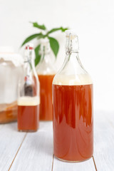 fermented beverage, a bottle of kombucha tea healthy natural probiotic drink.