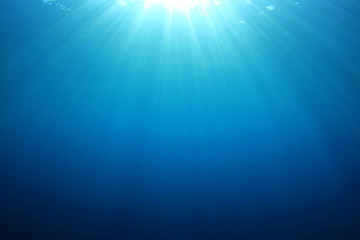 Obraz premium Underwater