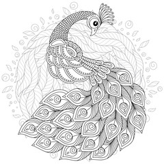 Fototapeta premium Peacock in zentangle style. Adult antistress coloring page.