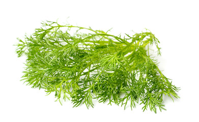 closeup of fresh chamomile leaves isolated on white