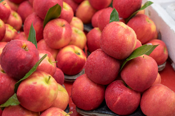 Fototapeta na wymiar red and yellow apple fruit