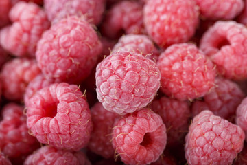 raw fresh raspberries