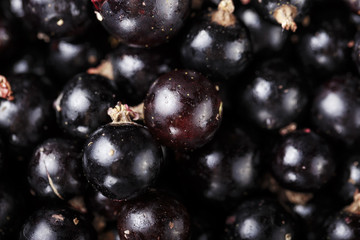 black currant as a background