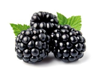 Sweet blackberries with leaves.