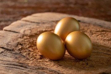 Golden eggs on a rustic wooden background