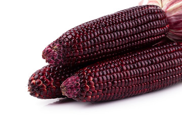 Fresh purple corns isolated on a white background