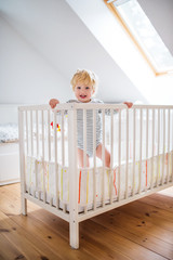 Cute toddler boy standing in a cot at home.
