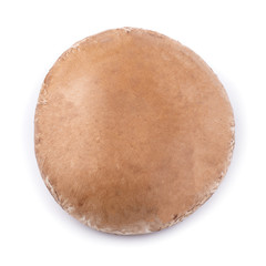 Portobello mushrooms isolated on a white background