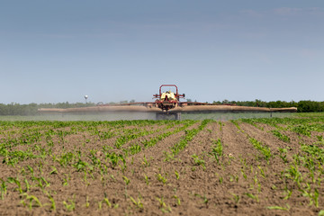 Wheat spraying