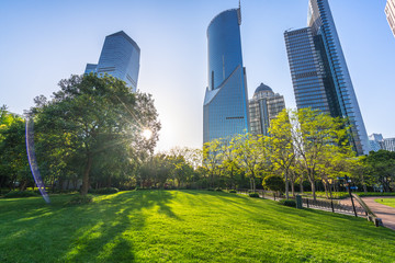 green lawn with modern office building