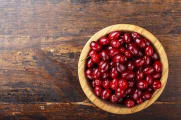 dogwood in a bowl with space for text