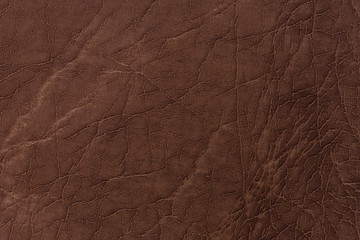 Brown leather texture. Abstract background, empty template.