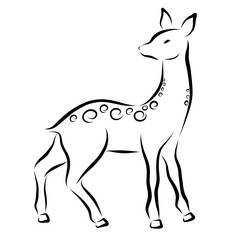 A young deer with a pattern on its back