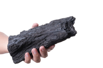 Hand holding natural black wood charcoal use for fuel or absorb bad smell