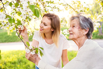 Elderly grandmother and granddaughter under the tree in spring nature.