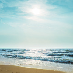 wild colored flowers in green grass