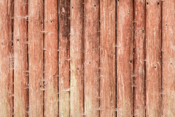 Obraz premium Wooden texture with scratches and cracks