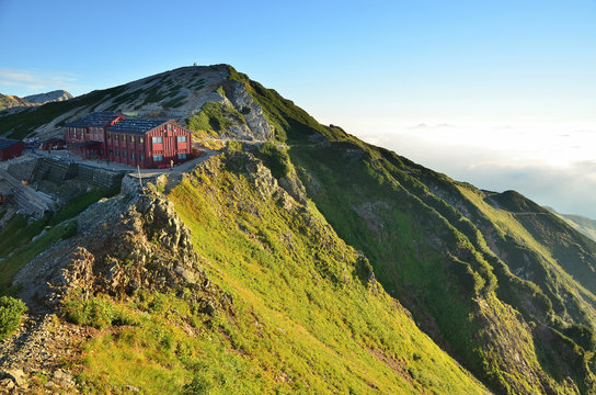 2 999 Best 唐松 Images Stock Photos Vectors Adobe Stock