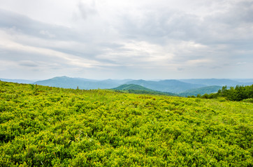 Wiosenne Bieszczady © Marcin Mularczyk