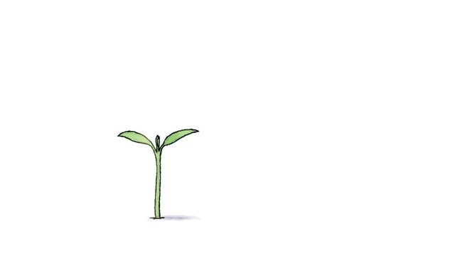 2 955 Best Growing Tree Animation Images Stock Photos Vectors Adobe Stock