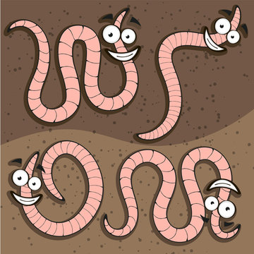 set of worm