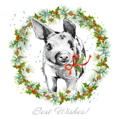 Year of the pig. watercolor hand drawn pigglet illustration. Winter holiday background. Christmas card.