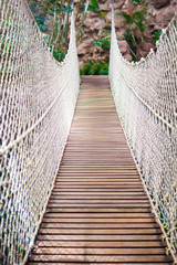 suspension bridge in the middle of the forest
