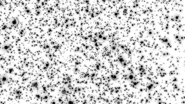 black round particles slowly move against a white background. computer graphics