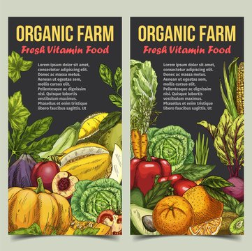 Organic market banner with fruits and vegetables