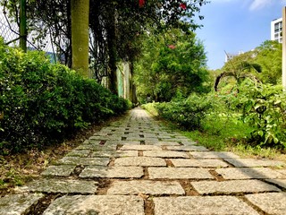 Pathway in the largest university campus in Hong Kong.