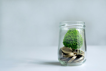 coins in glass jar with a good tree in side it growing up from the gold coins concept with soft background.