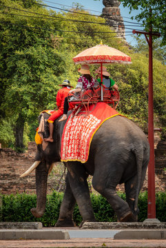 Thailändischer Elefant mit reitenden Touristen auf Straße vor den Ruinen von Ayutthaya