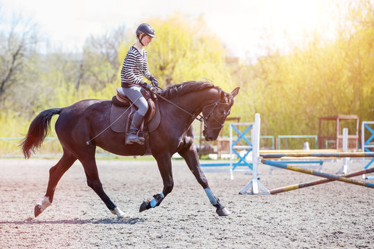 Young girl riding horse on her course in training show jumping. Equestrian sport training background