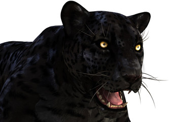 Naklejka premium Ilustracja 3D Czarna Pantera Izolowanie na białym tle ze ścieżką przycinającą, Czarny Tygrys