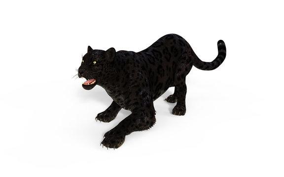 3d Illustration Black Panther Isolate on White Background with Clipping Path, Black Tiger