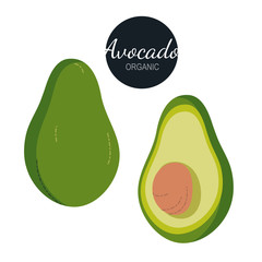 Bright vector set of colorful half, slice and whole of fresh avocado. Fresh flat cartoon avocados isolated on white background.